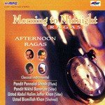 M To M Afternoon Ragas Classical Instrumental - Nikhil Banerjee Song Download